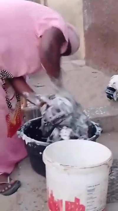 crazy washing of the baby