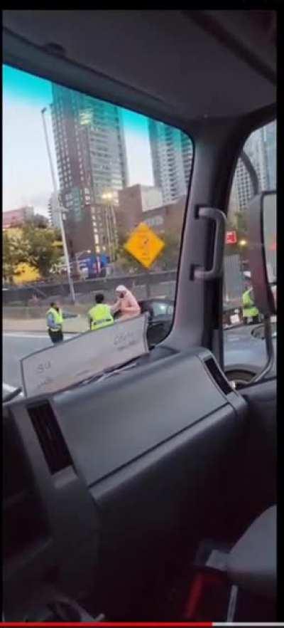 Pink Teddy Bear vs Green Hornets