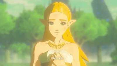 Zelda refreshes Links memory