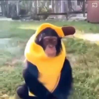 PERO POR QUÉ ME GRITA?