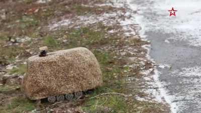 The hills have eyes!