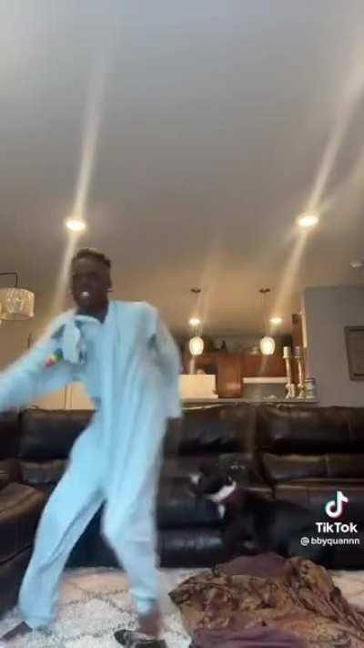 This guys dog has had enough of his TikTok shit