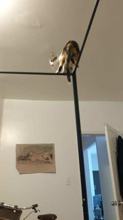 Recatculations in progress