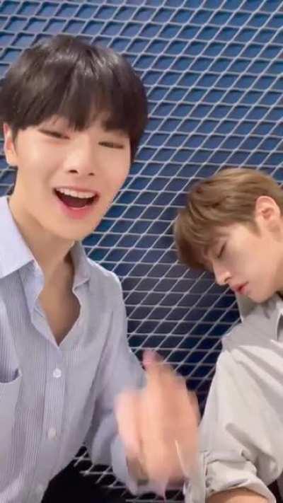 210911 jypestraykids TikTok - ✌🏻😉💭🧀 1...2...3...📸 CHEESE! #CHEESEchallenge #LeeKnow #I_N