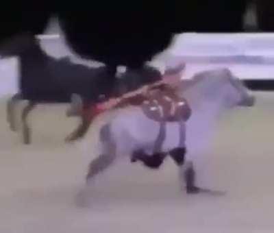 HTDYL after your life is already destroyed once