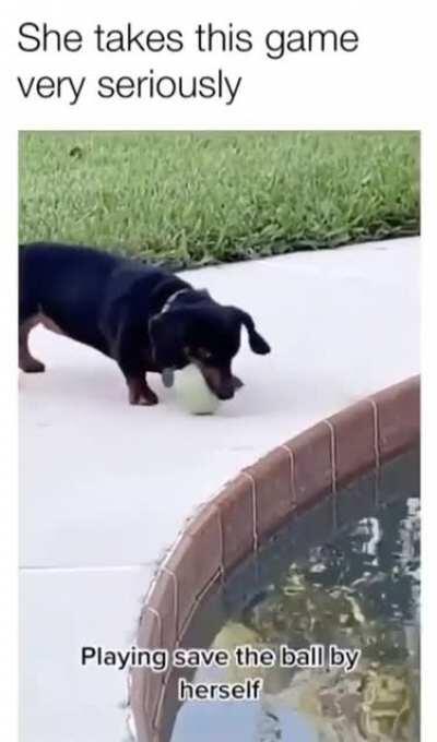 This dog loves being the savior