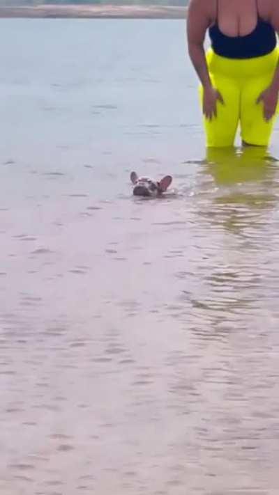 The gigantic boobs of Raja Kumari🤤