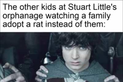 Rats are low maintenance