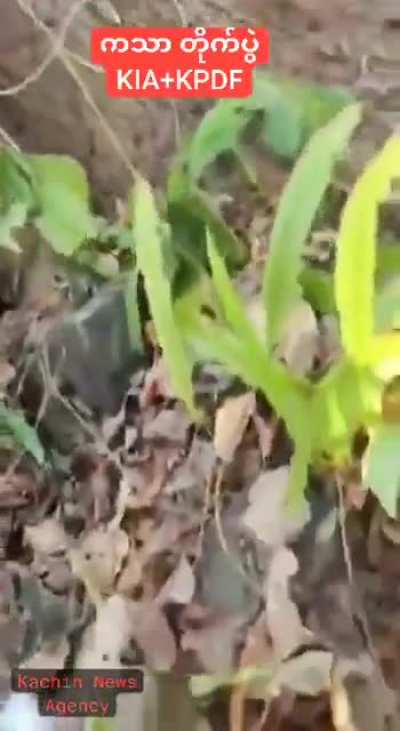 Kachin rebels attacking military junta stragglers from an ambush between Indaw and Kathar, Sagaing Region, Myanmar (March 15-16).