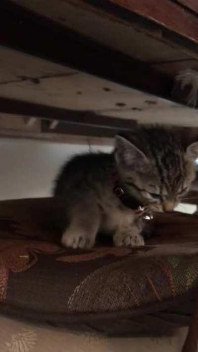 Little baby needs hugs.