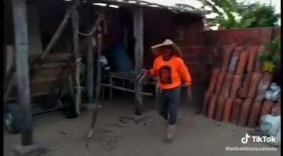 Anima doesn't want to work after quarentine. Story in comments.