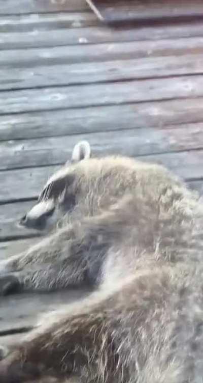 What has my life become these are my best friends