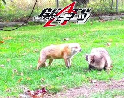 Leaked video of Geats vs Tycoon