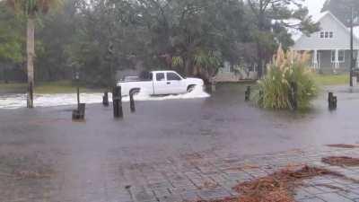 Sally has arrived in the panhandle & people are starting to get creative with it all......