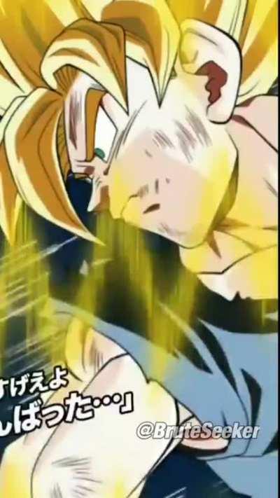 I combined both the stand by activation of LR Ssj3 Goku and Ssj2 Vegeta.