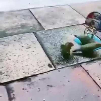 Espero que no aprendan a jugar angry birds