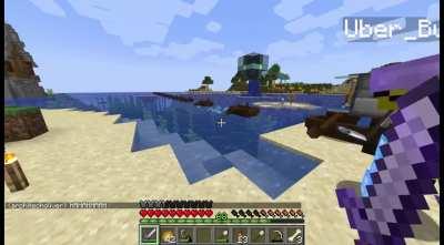 My friend and I were trying to make an elytra launcher and this happened.