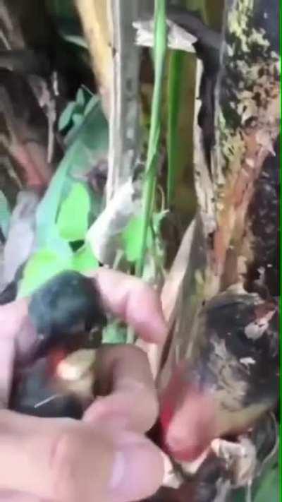 Сбой в программе