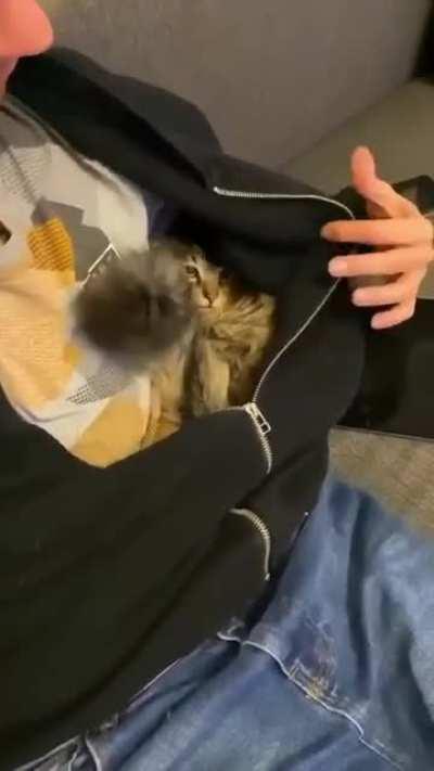 HIS FAVORITE PLACE 😽♥♥