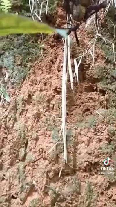 WHAT IN GODS NAME ARE THESE