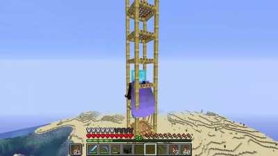 How to bring dolphins home.