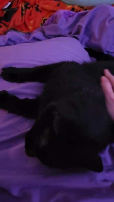 She is always so happy to see me 🥹