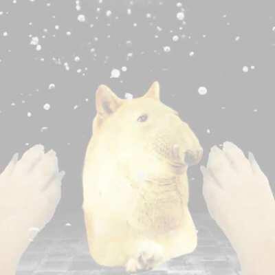 The mason jar has arrived (I'm sorry)