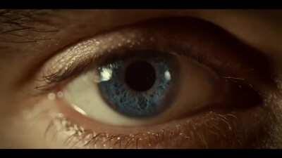 Hannibal S1 edit because the cinematography is impeccable TW for Flashing