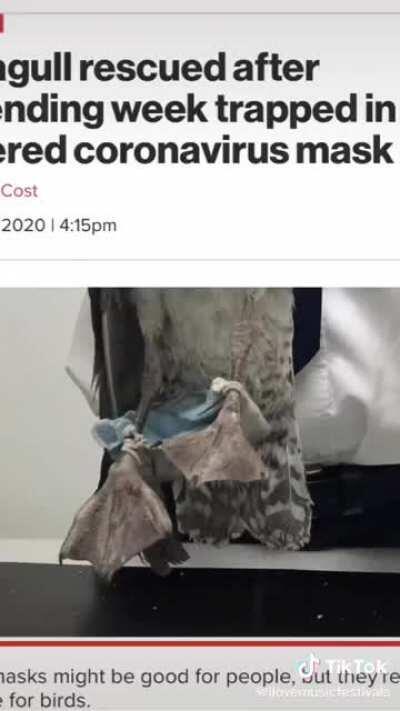 Cut the straps off your masks before throwing it away! A lot of wildlife are getting tangled in it.