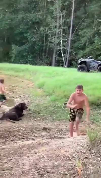 It's Bigfoot, I swear