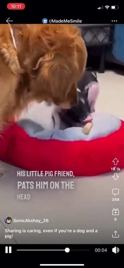 Putting others before him...