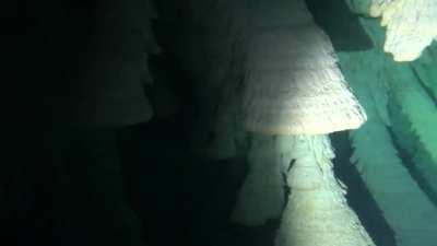 I’m an avid scuba diver and have always loved the ocean. This still freaks me out. Thought it belonged here