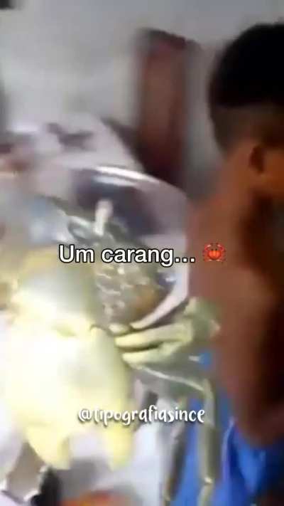 It's just a crab 🦀