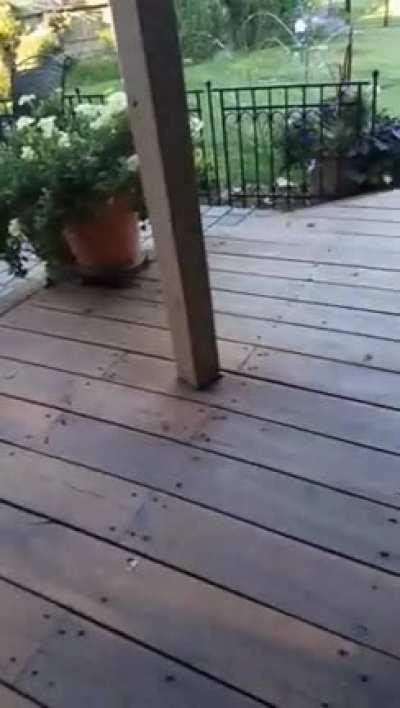 Out of my way, child!