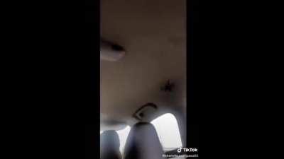 Weee What fun wth a lil guy😳😆 ~S~ Spider terrorizes occupants of a car