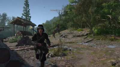 What is happening with my horse's legs? NSW2