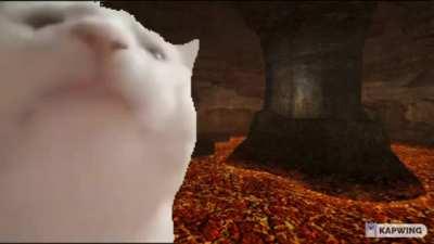 Me when I enter Magmoor Caverns