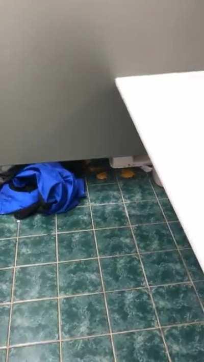 Washing my hands at work and I hear a loud “plop!” on the floor. What a surprise when I turn around