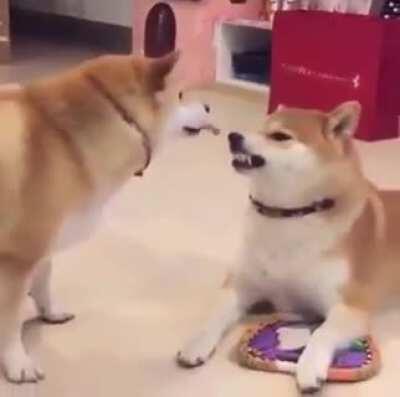 Довыпендривался