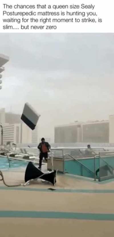 Sealy Posturepedic, flying hunter