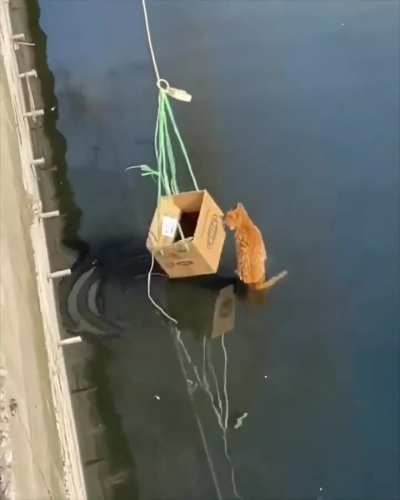 Describe it with terminal commands. 