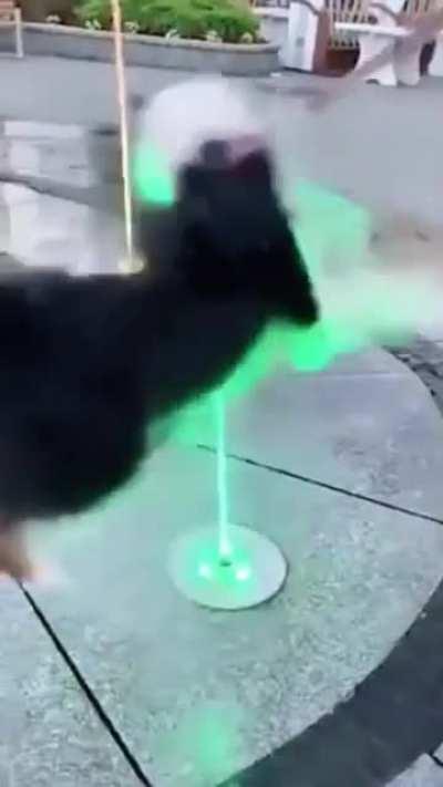 A little something for Jeannie