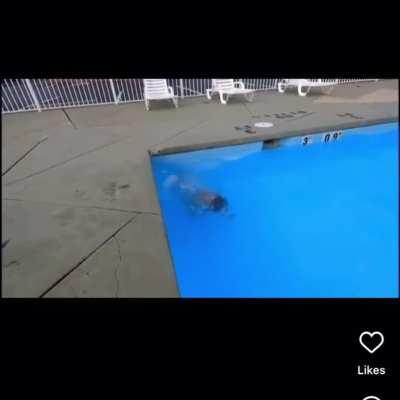 Why jump in the water when you can hit the concrete and slide