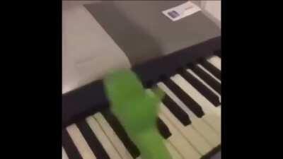 Espero el moai lo vea uwu