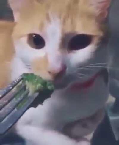 To eat broccoli