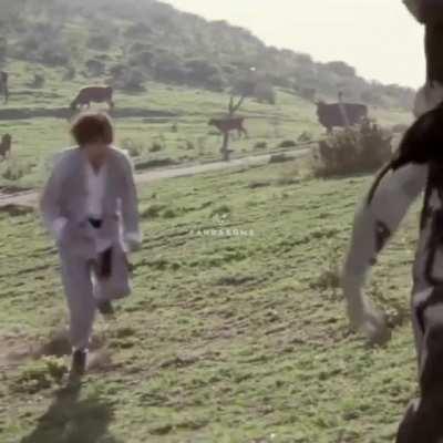 Cows may be dangerous in England but they're built different in india