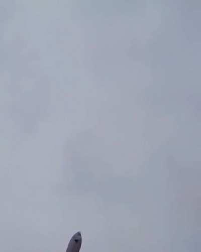 SN15's flip maneuver during flight (footage by cosmic perspective)