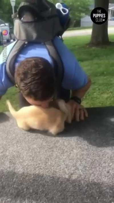 heLpLESS pUp Has mENtAl breAKdoWn, THeN gEtS EatEN bY iNsanE hoomaN