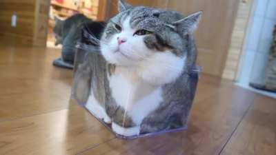 Just Loafing Around...