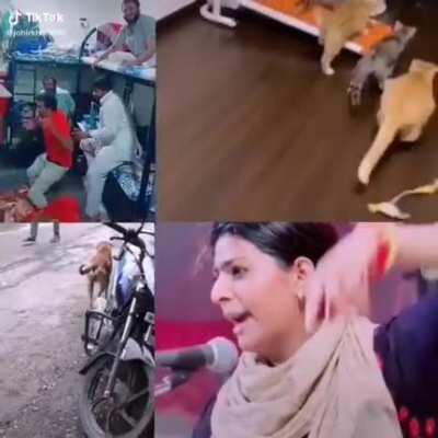 Non political - Use earphones :D